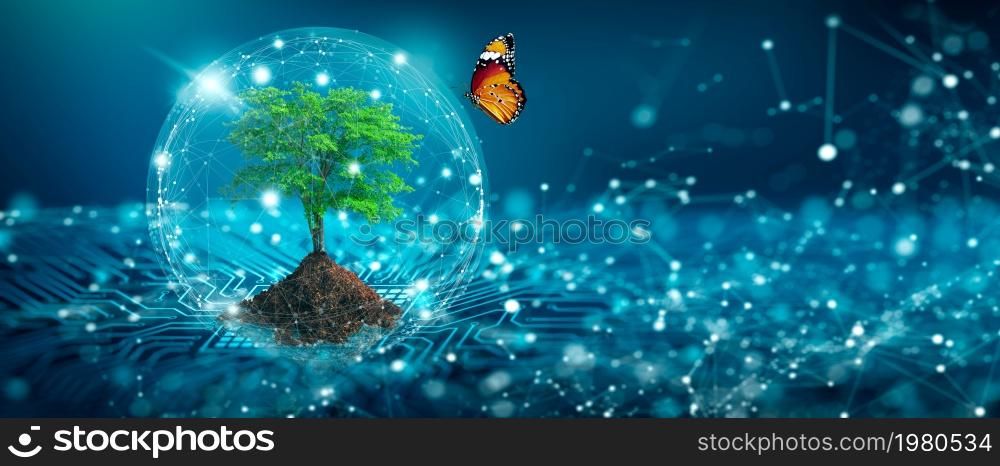 Tree with soil growing on the converging point of computer circuit board. Blue light and low poly wireframe network background. Green Computing, Green Technology, Green IT, csr, and IT ethics Concept.