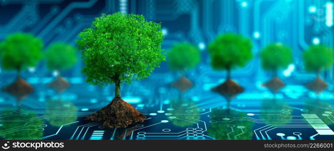 Tree with soil growing on  the converging point of computer circuit board. Blue light and wireframe network background. Green Computing, Green Technology, Green IT, csr, and IT ethics Concept.