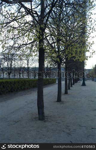 Treelined park, Paris near the Louvre