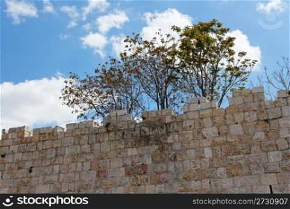 Trees above ancient stone wall of Old City of Jerusalem