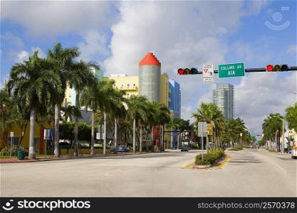 Trees along a road with buildings in the background, South Beach, Miami Beach, Florida, USA