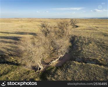 trees along a stream in Colorado prairie - early spring aerial view