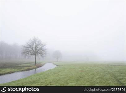 trees along canal near forest and green meadows in dutch province of utrecht on cold and foggy winter day
