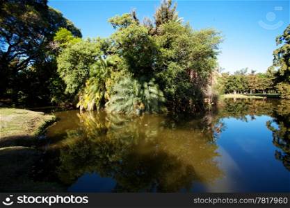 trees and a pond on a background of blue sky and the city