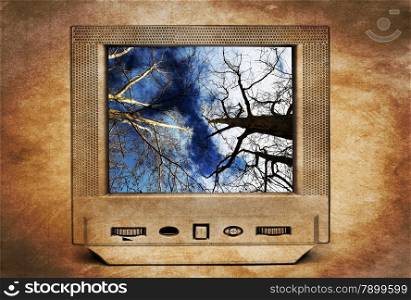 Trees and blue sky on TV