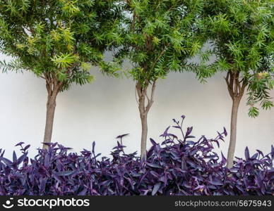 Trees and bushes near the white stone wall