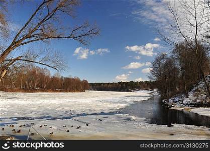 Trees and bushes on bank of snow covered river. winter landscape