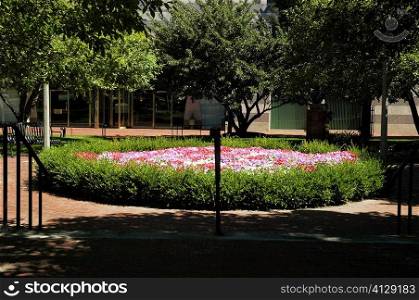 Trees and flowers at a park, Cardinal Cushing Memorial Park, Boston, USA