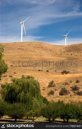 Trees and hillside with wind generators