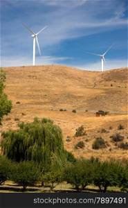 Trees and hillside with wind generators