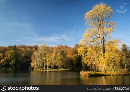 Trees and main lake in Stourhead Gardens during Autumn.