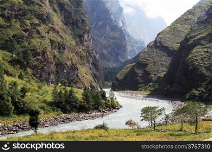 Trees and mountain river in Nepal