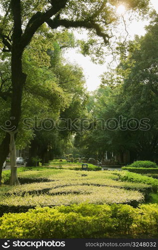 Trees and plants in a formal garden, Shamian Island, Guangzhou, Guangdong Province, China