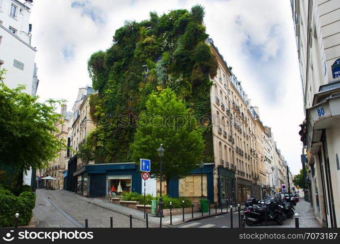 trees and plants over palace in paris. france. trees and plants over palace in paris