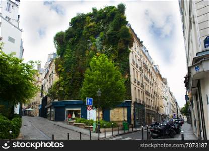 trees and plants over palace in paris. france. trees and plants over palace in paris