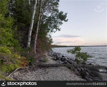 Trees and rocks along shoreline, Lake Winnipeg, Riverton, Hecla Grindstone Provincial Park, Manitoba, Canada