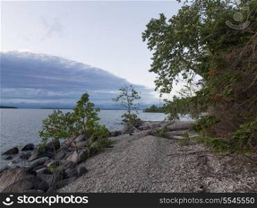 Trees and rocks along shoreline, Lake Winnipeg, Riverton, Hecla Grindstone Provincial Park, Manitoba, Canada