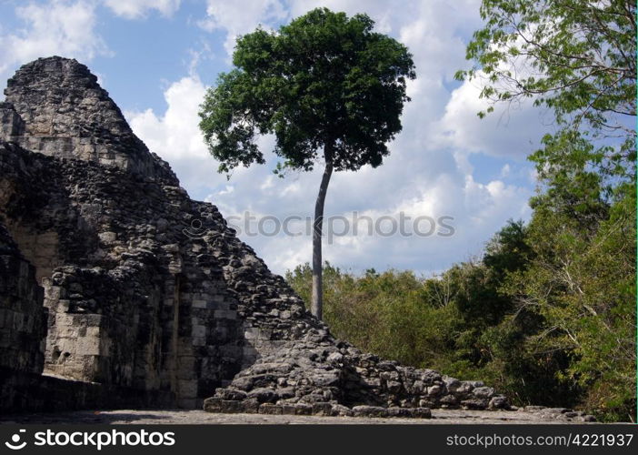 Trees and ruins of temple in Xpuhil, Yucatan, Mexico