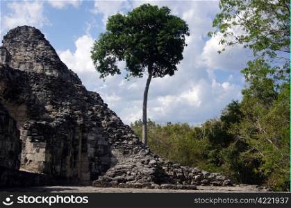 Trees and ruins of temple in Xpuhil, Yucatan, Mexico