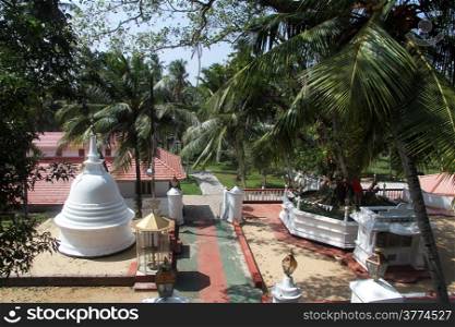 Trees and stupa in Sapugoda viharaya in Beruwala, Sri Lanka