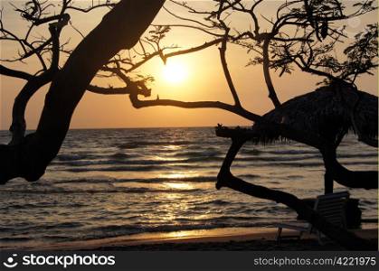 Trees and sunrise on the island Ometepe, lake Nicaragua
