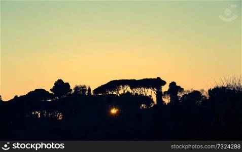Trees at sunset backlit in Rome.. Trees at sunset backlit in Rome