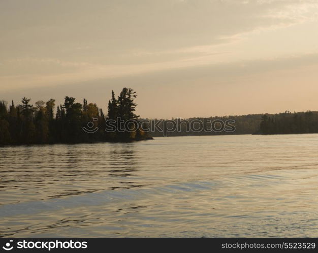 Trees at the lakeside, Kenora, Lake of The Woods, Ontario, Canada