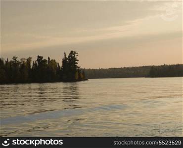 Trees at the lakeside, Kenora, Lake of The Woods, Ontario, Canada