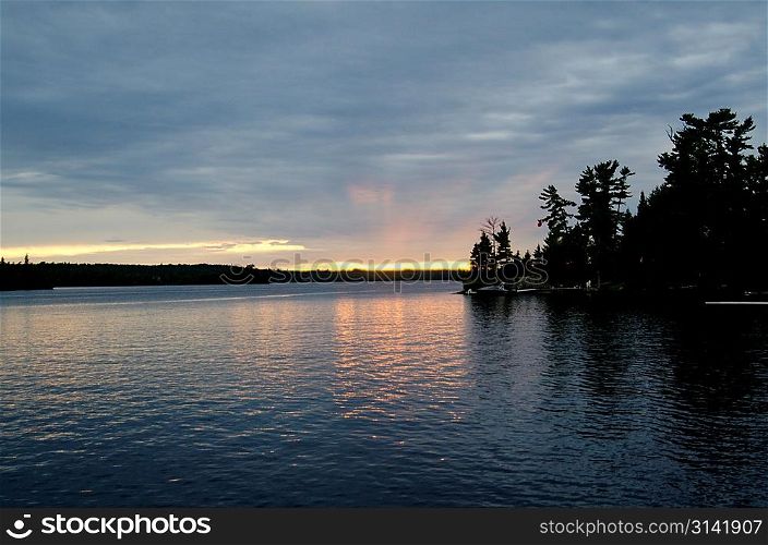 Trees at the lakeside, Lake of the Woods, Ontario, Canada