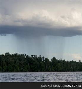 Trees at the lakeside with a raincloud in the sky, Lake of The Woods, Ontario, Canada