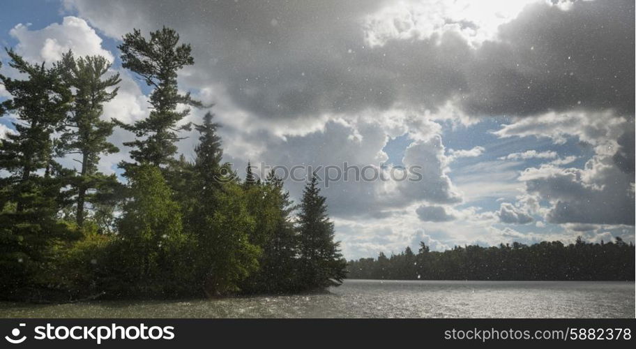 Trees at the lakeside with flakes of snow falling, Lake Of The Woods, Ontario, Canada