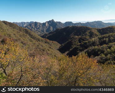 Trees at the Mutianyu section of the Great Wall of China, Beijing, China