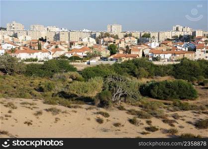 Trees, bushes, grass and cacti on waste ground near the town in Israel. Wasteland near Ashkelon, Israel