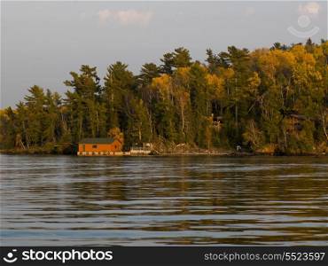 Trees in a forest at the lakeside, Kenora, Lake of The Woods, Ontario, Canada