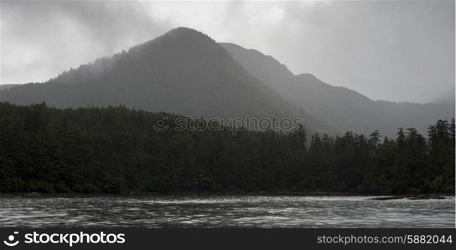Trees in a forest with mountain the background, Skeena-Queen Charlotte Regional District, Haida Gwaii, Graham Island, British Columbia, Canada