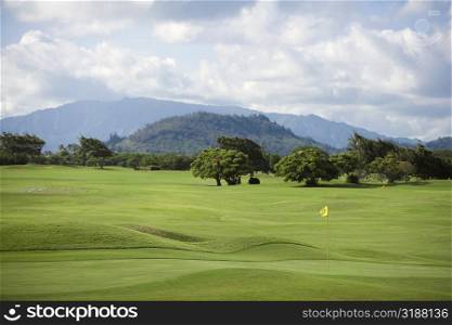 Trees in a golf course with a mountain range in background, Kauai, Hawaii Islands, USA
