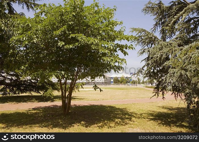 Trees in a park, Congres Et Expositions De Bordeaux, Bordeaux, Aquitaine, France