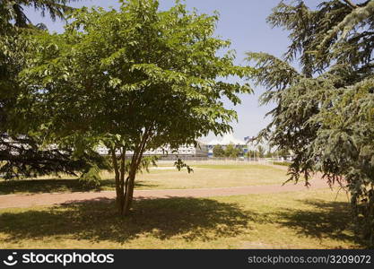 Trees in a park, Congres Et Expositions De Bordeaux, Bordeaux, Aquitaine, France