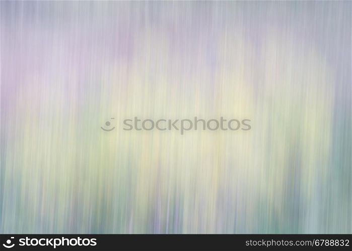 Trees in a sandstone canyon - nature motion blur abstract