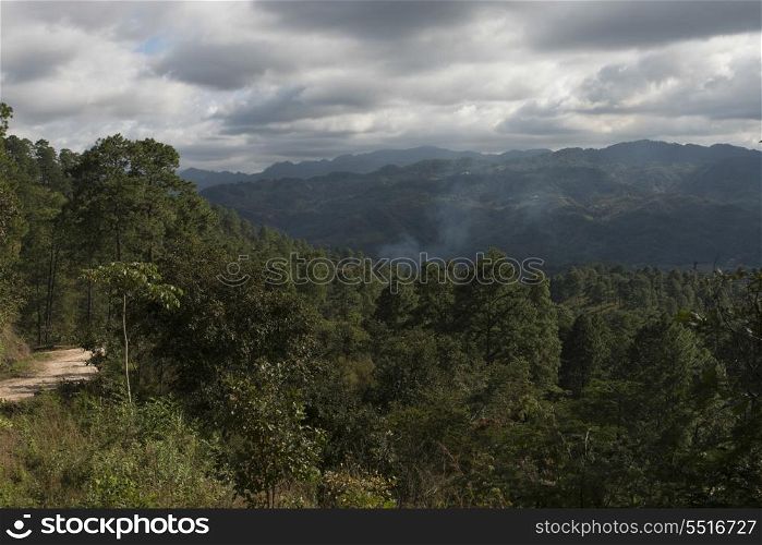 Trees in a valley, Copan, Copan Ruinas, Copan Department, Honduras