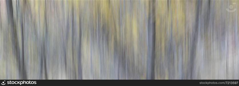 Trees in fall colors - nature motion blur abstract, long panoramic banner