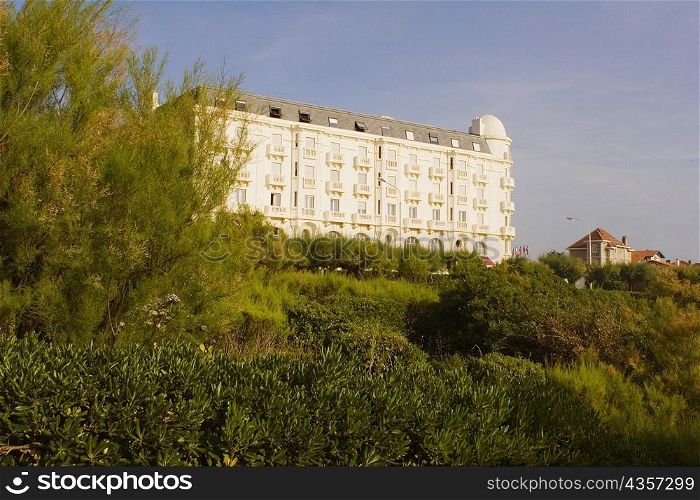 Trees in front of a building, Biarritz, Basque Country, Pyrenees-Atlantiques, Aquitaine, France
