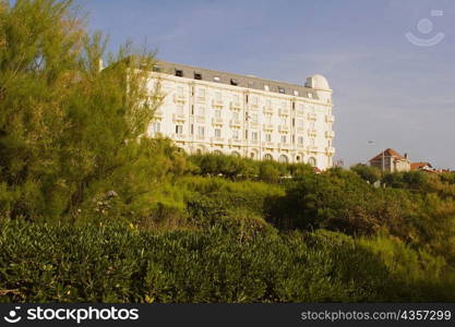 Trees in front of a building, Biarritz, Basque Country, Pyrenees-Atlantiques, Aquitaine, France