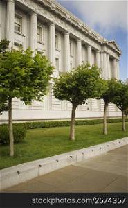 Trees in front of a building, City Hall, San Francisco, California, USA