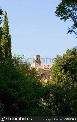 Trees in front of a building, Monteriggioni, Siena Province, Tuscany, Italy