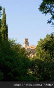 Trees in front of a building, Monteriggioni, Siena Province, Tuscany, Italy