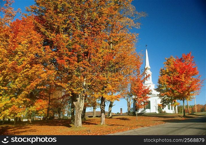 Trees in front of a church, Lunenberg, Vermont, USA