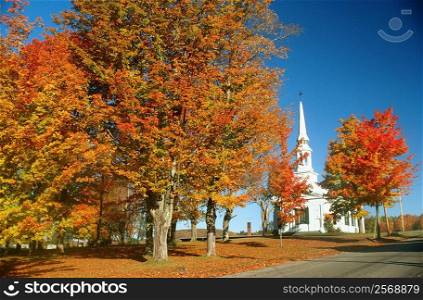 Trees in front of a church, Lunenberg, Vermont, USA