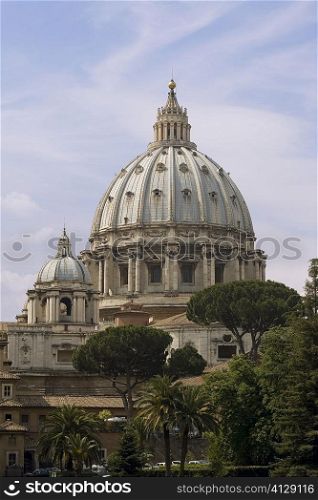 Trees in front of a church, St. Peter&acute;s Square, St. Peter&acute;s Basilica, Vatican, Rome, Italy