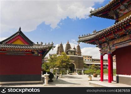 Trees in front of a temple, Five Pagoda Temple, Hohhot, Inner Mongolia, China